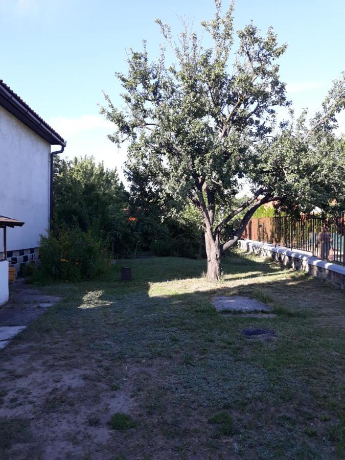 Retrovilla Balatonkenese Exteriér fotografie